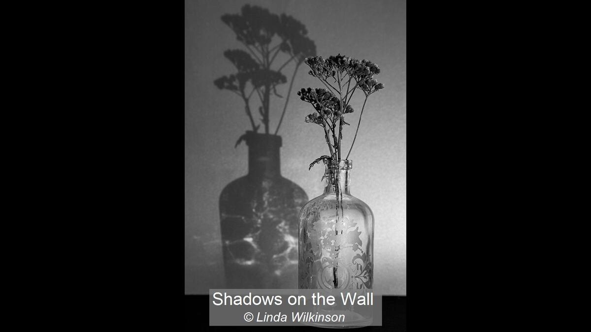 06_Shadows on the Wall_Linda Wilkinson